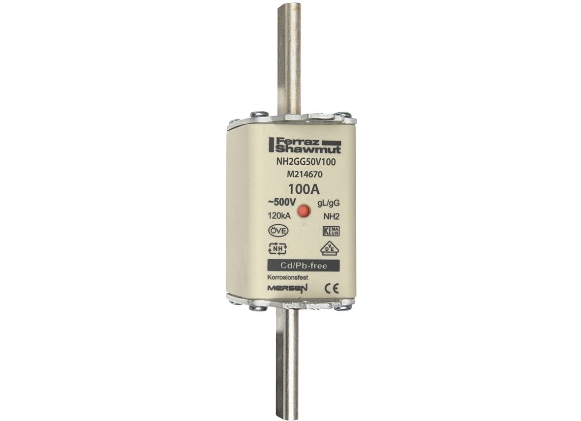 M214670 - NH fuse-link gG, 500VAC, size 2, 100A double indicator/live tags